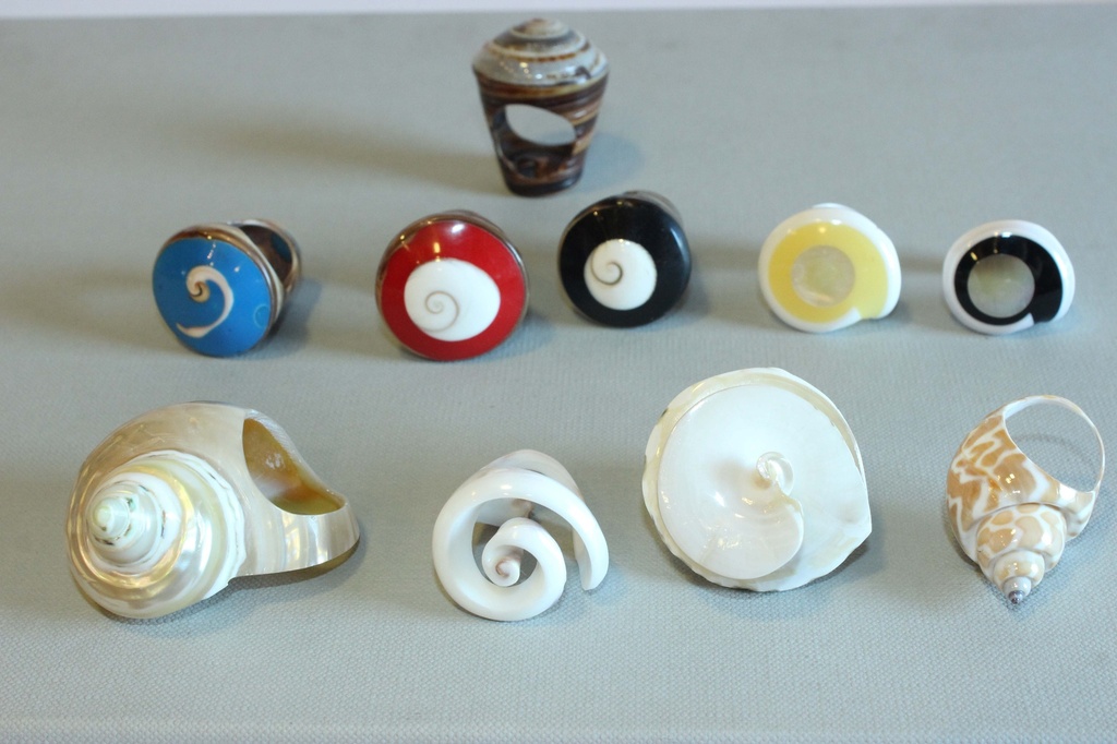 PRSTENI OD ŠKOLJKE / RAZNI