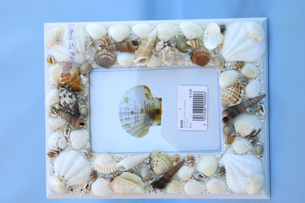 OKVIR ZA SLIKU SA ŠKOLJKAMA