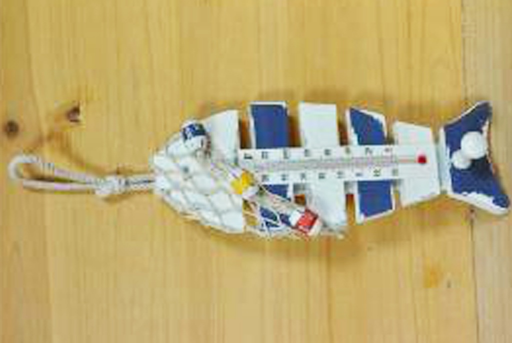 DRVENA RIBA S TERMOMETROM 30x8x4.5cm 