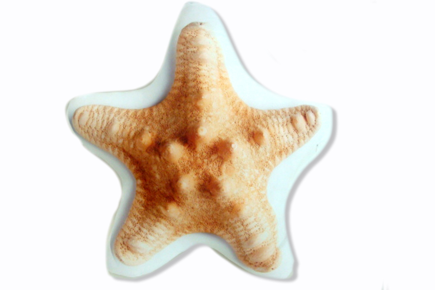 JASTUK U OBLIKU ZVIJEZDE40*40 CM 