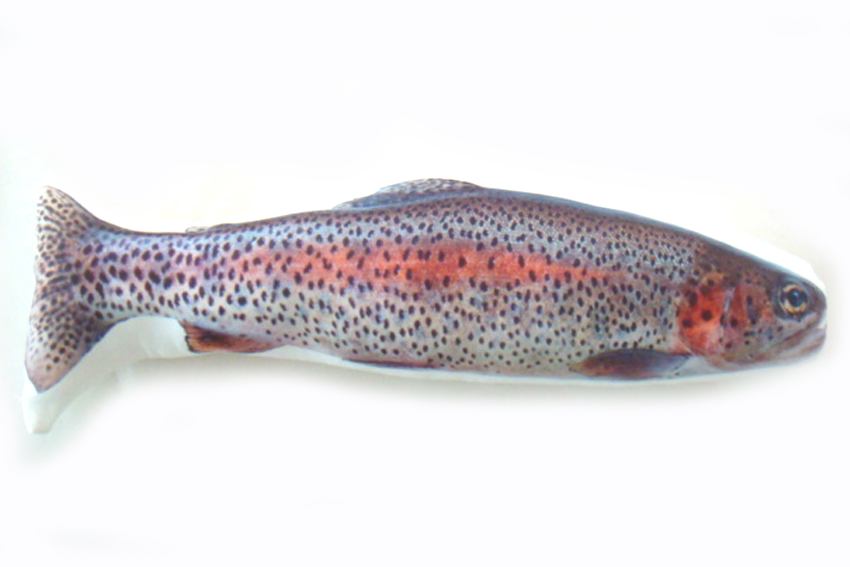 CUSCINO FORMA PESCE GRIGIO ARANCIO 25*55 CM 