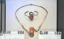 NARUKVICA SA ŠKOLJKOM