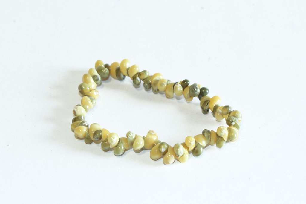 NARUKVICA  OD ŠKOLJKI