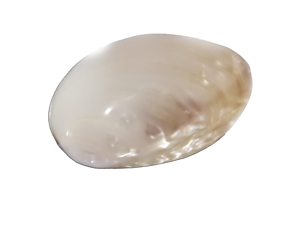 FROG MUSSEL BIANCA PERLIZZATA 3 UP 