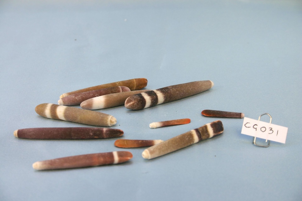 BODLJE MORSKOG JEŽA CM 3-8 