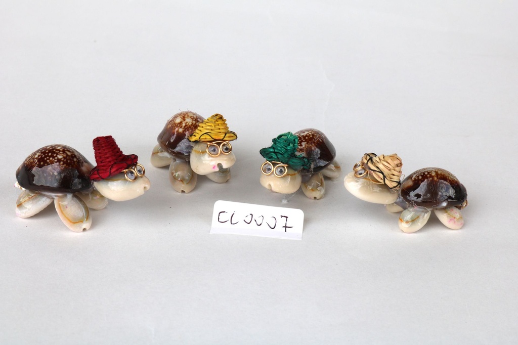 KORNJAČA OD ŠKOLJKI CM 2*6 