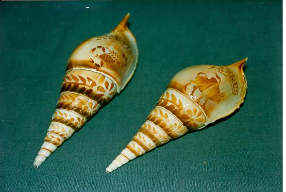 ZNAKOVI ZODIJAKA  CM 13 