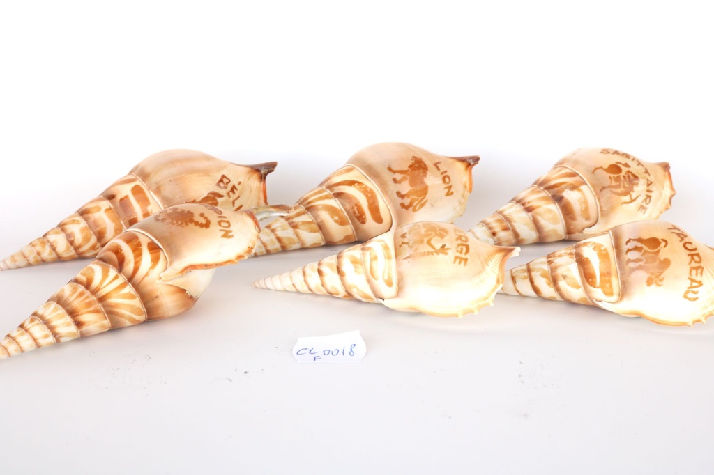 ZNAKOVI ZODIJAKA CM 13 