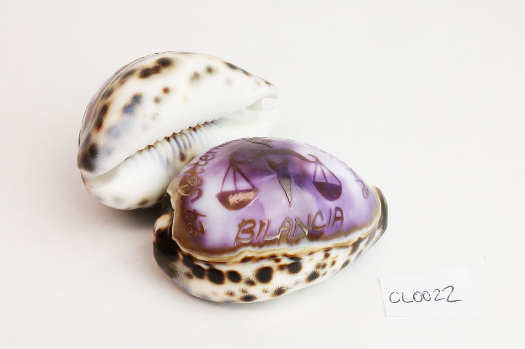 ZNAKOVI ZODIJAKA  CM 8 