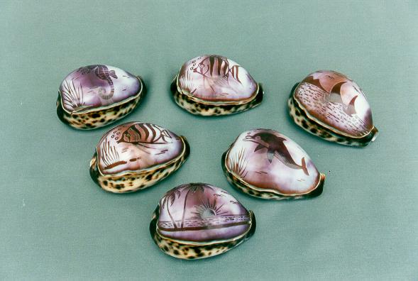 CYPREA TIGRIS S MORSKIM MOTIVIMA CM 8 