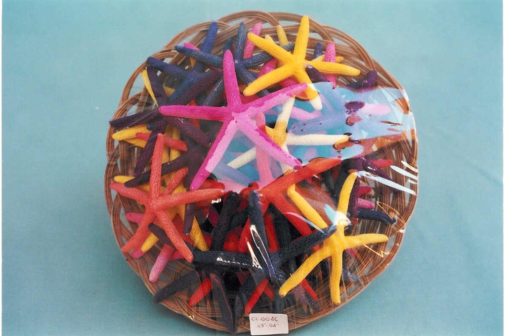 KOŠARA SA ZVIJEZDAMA  CM 8-10 