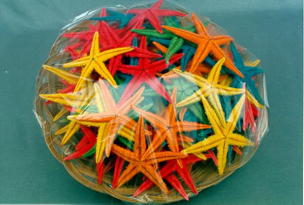 CESTO STELLE MARINE 3,5 UP COL. (100 PZ) CM 8 