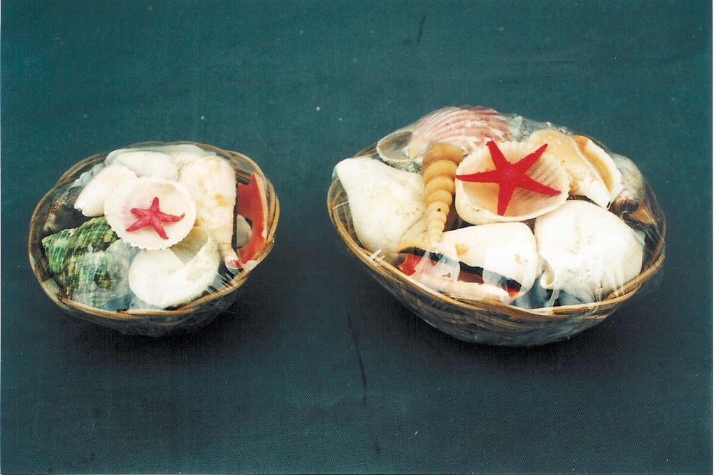 KOŠARA SA ŠKOLJKAMA 4" DIAM CM 10 