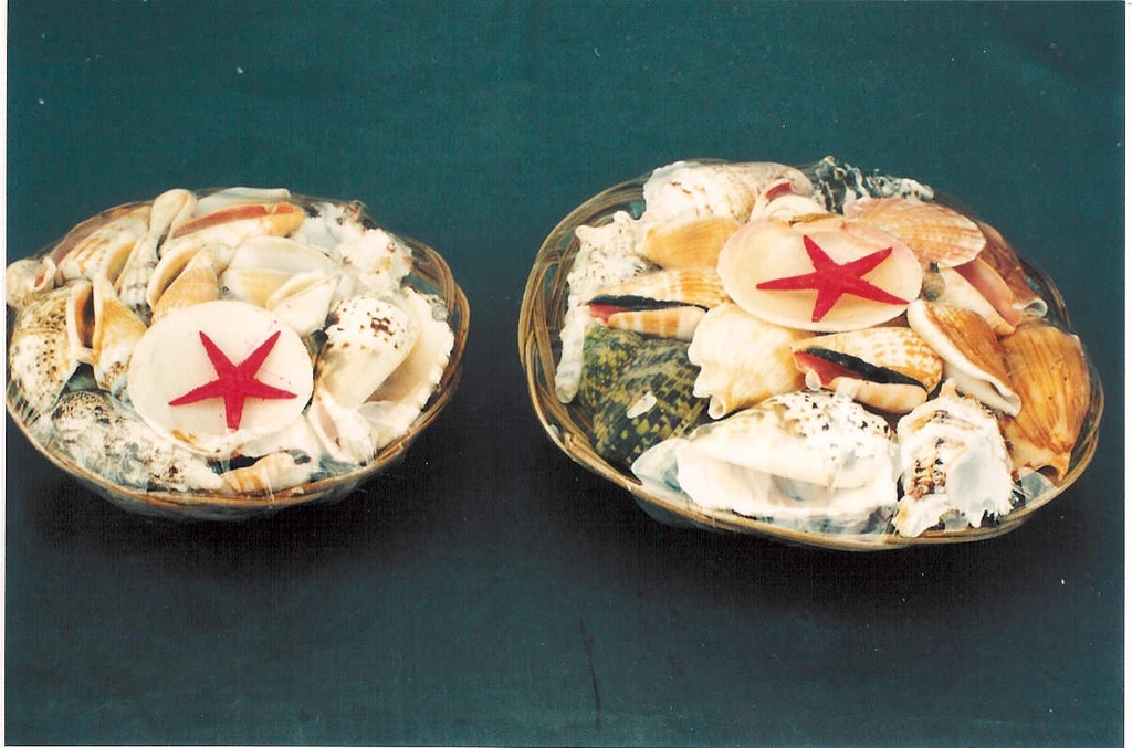 KOŠARA SA ŠKOLJKAMA 6" DIAM CM 15 