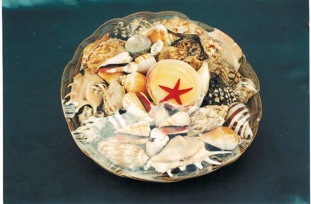 KOŠARA SA ŠKOLJKAMA 10" DIAM CM 25 