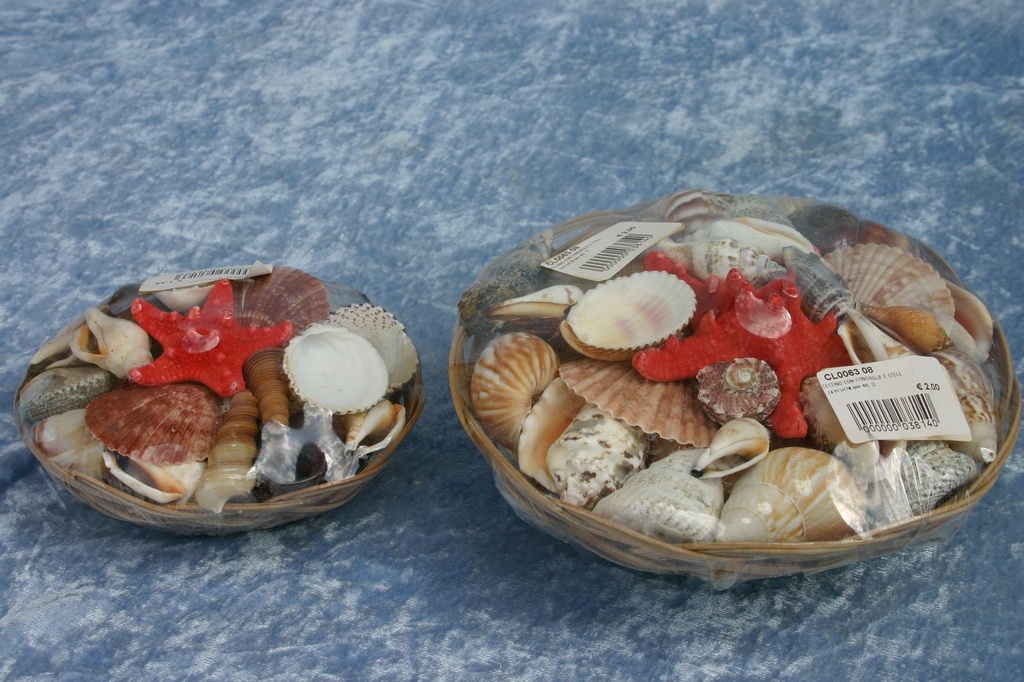 KOŠARA SA ŠKOLJKAMA 8" DIAM CM 20 