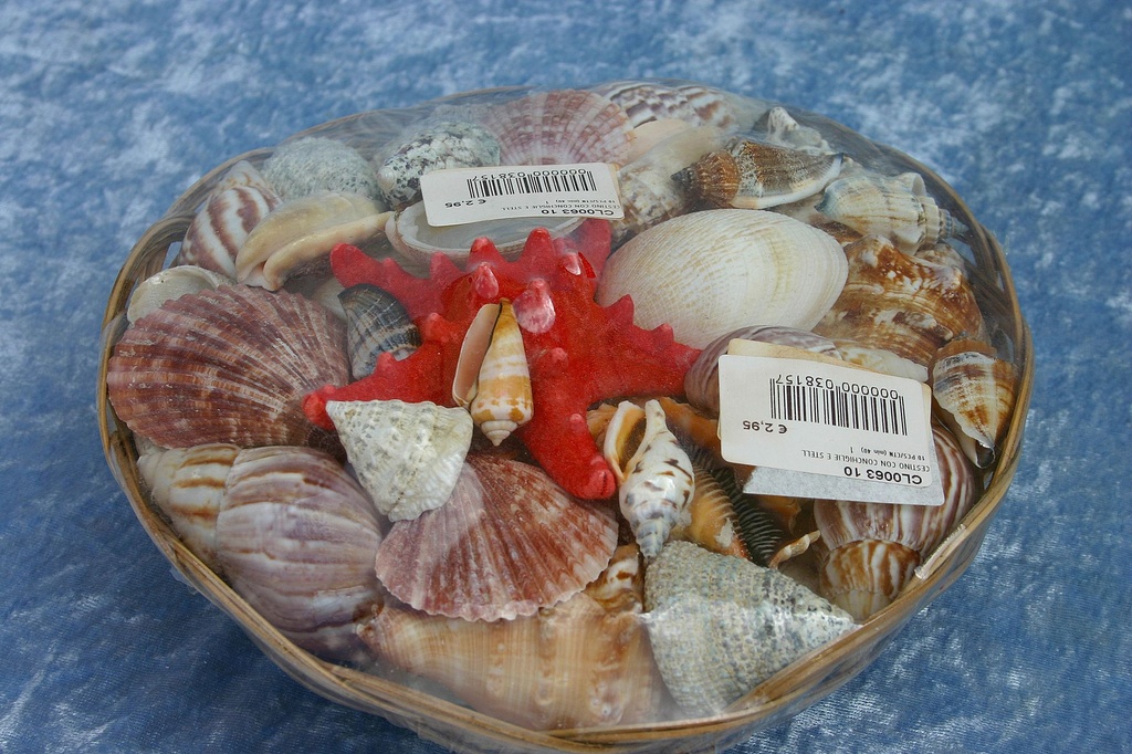 KOŠARA SA ŠKOLJKAMA 10" CM 25 