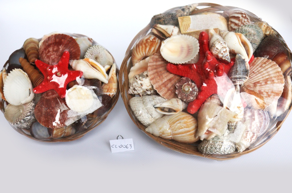 KOŠARA SA ŠKOLJKAMA 12"  CM30 