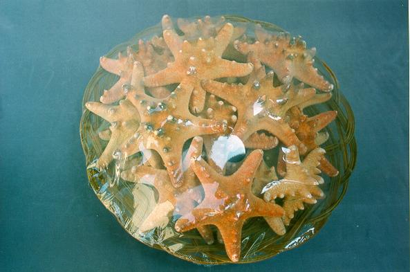 KOŠARA SA ZVIJEZDAMA 3-4" DIAM CM 8 