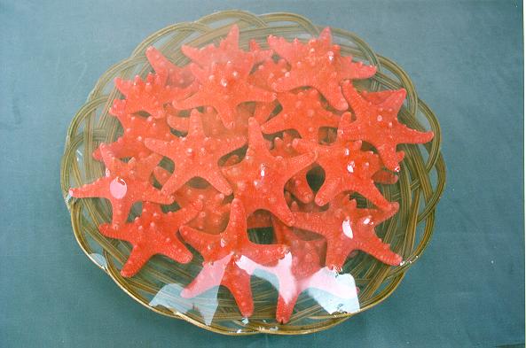 KOŠARA SA ZVIJEZDAMA  3-4"   DIAM CM 8 