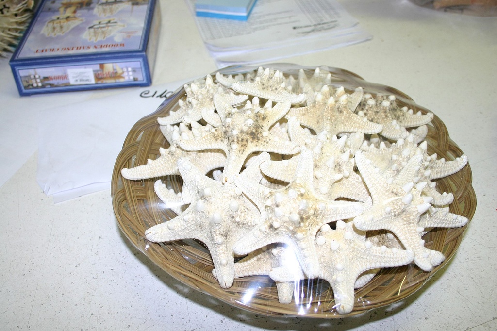 KOŠARA SA ZVIJEZDAMA 3-4"  (25 KOM) DIAM CM 8 