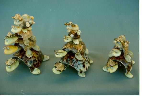 TARTARUGA 5 PZ CM 11 