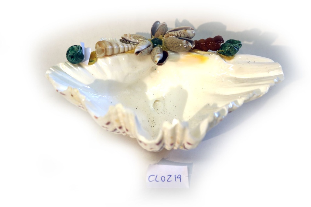 * PEPELJARA OD ŠKOLJKE