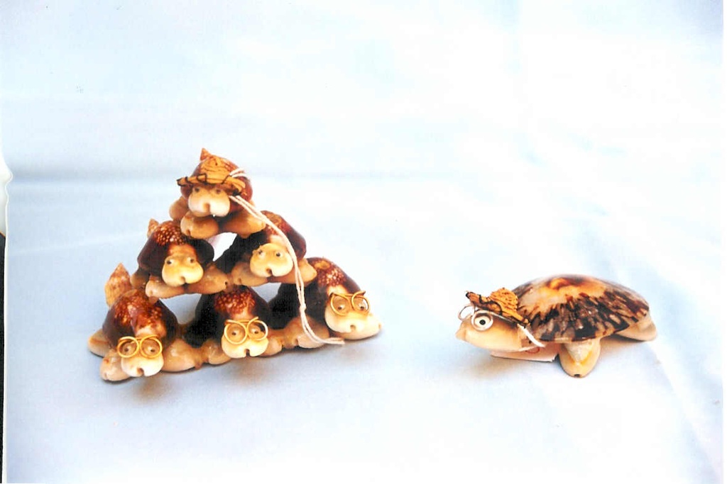 PIRAMIDA OD KORNJAČA CM 6*8 