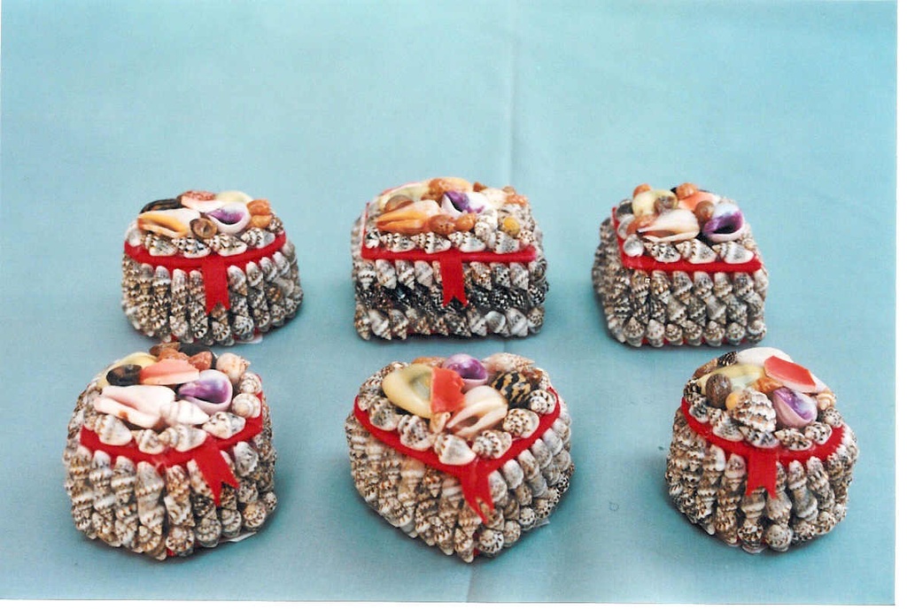 KUTIJA OD ŠKOLJKI CM 5.5-6 