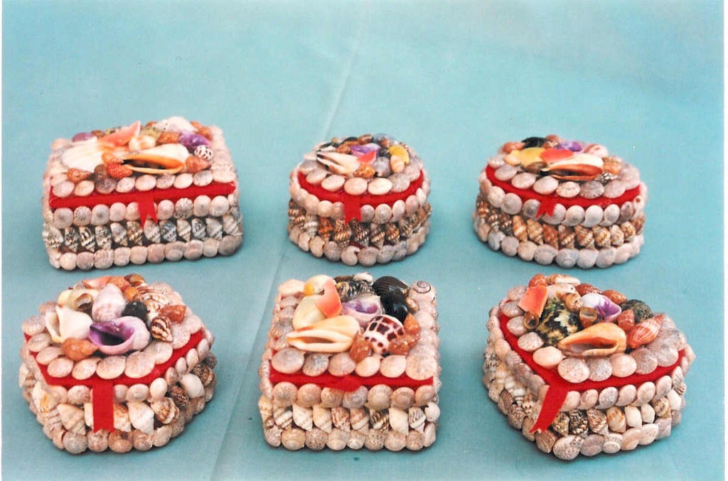 KUTIJA OD ŠKOLJKI CM 6.5-7.5 