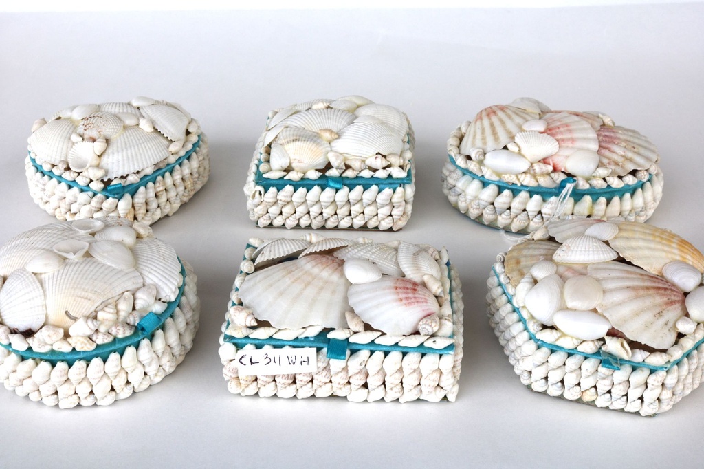 KUTIJA OD ŠKOLJKI CM 9