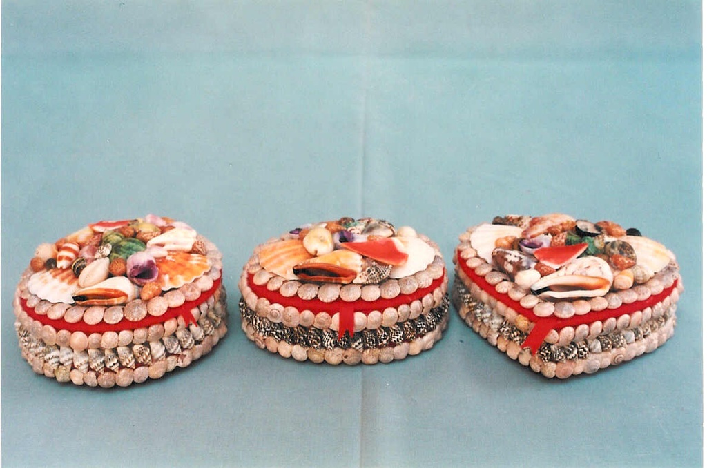 KUTIJA OD ŠKOLJKI DIAM CM 8.5-11 