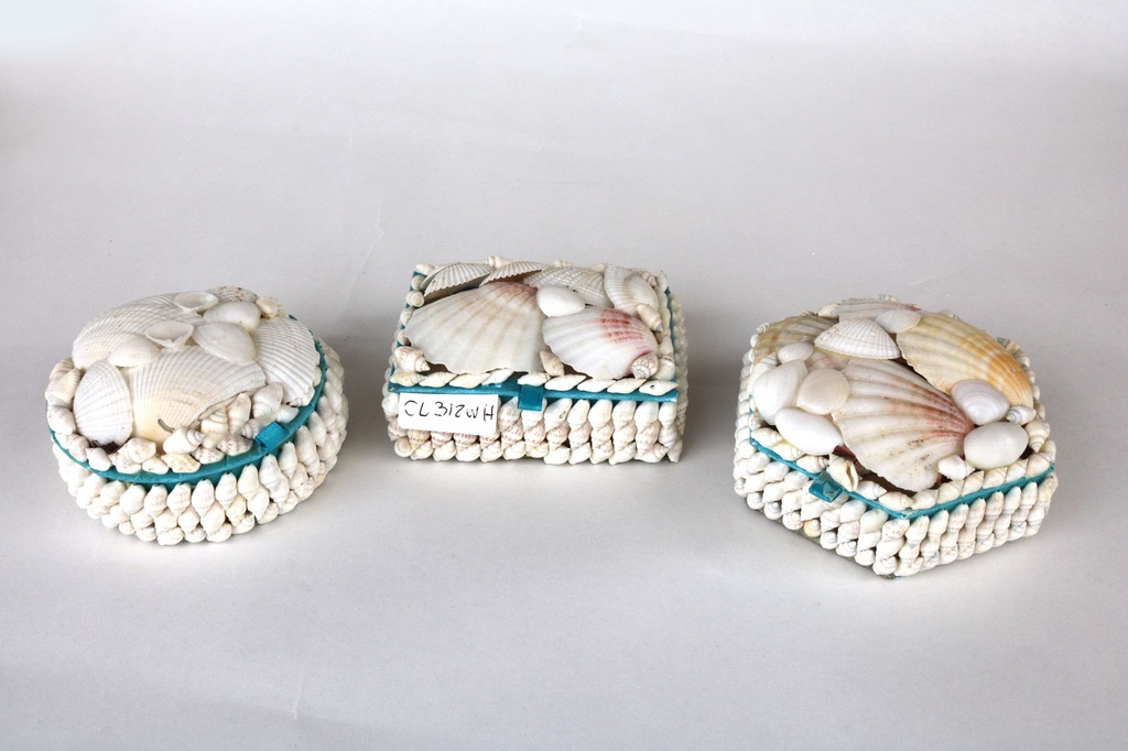 KUTIJA OD ŠKOLJKI CM 12 