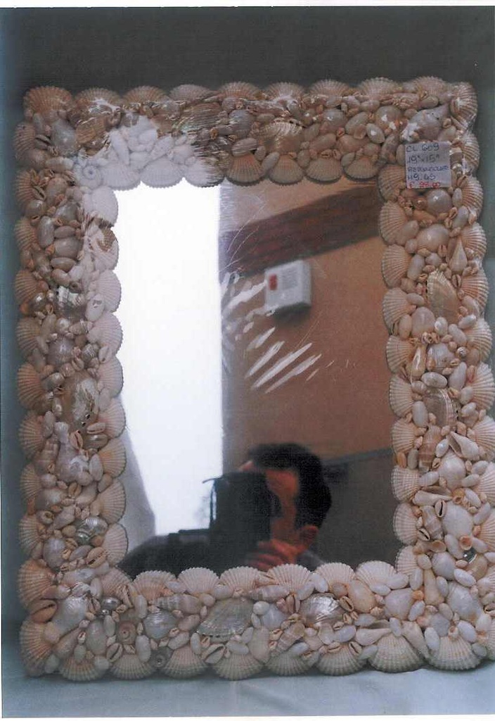 OGLEDALO OD ŠKOLJKI 47.5*37.5 CM 