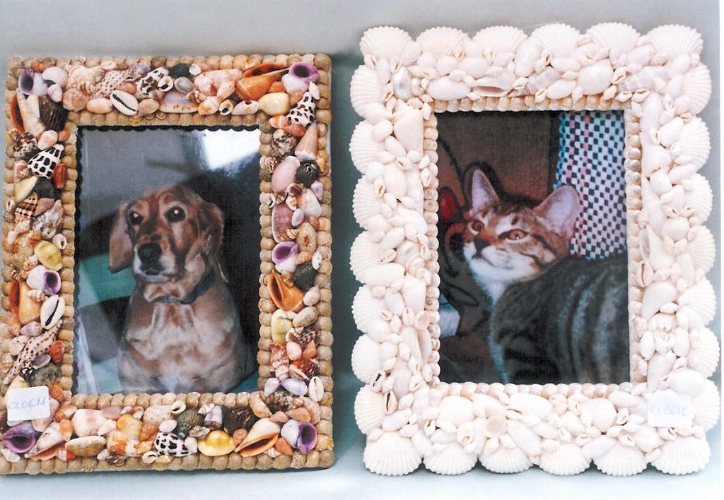 PORTAFOTO c/CONCHIGLIE COL.RETTANG 9,5" CM 25*19.5 