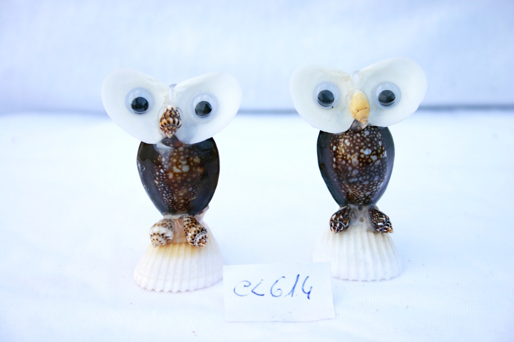 SOVA OD ŠKOLJKI CM 5.5 