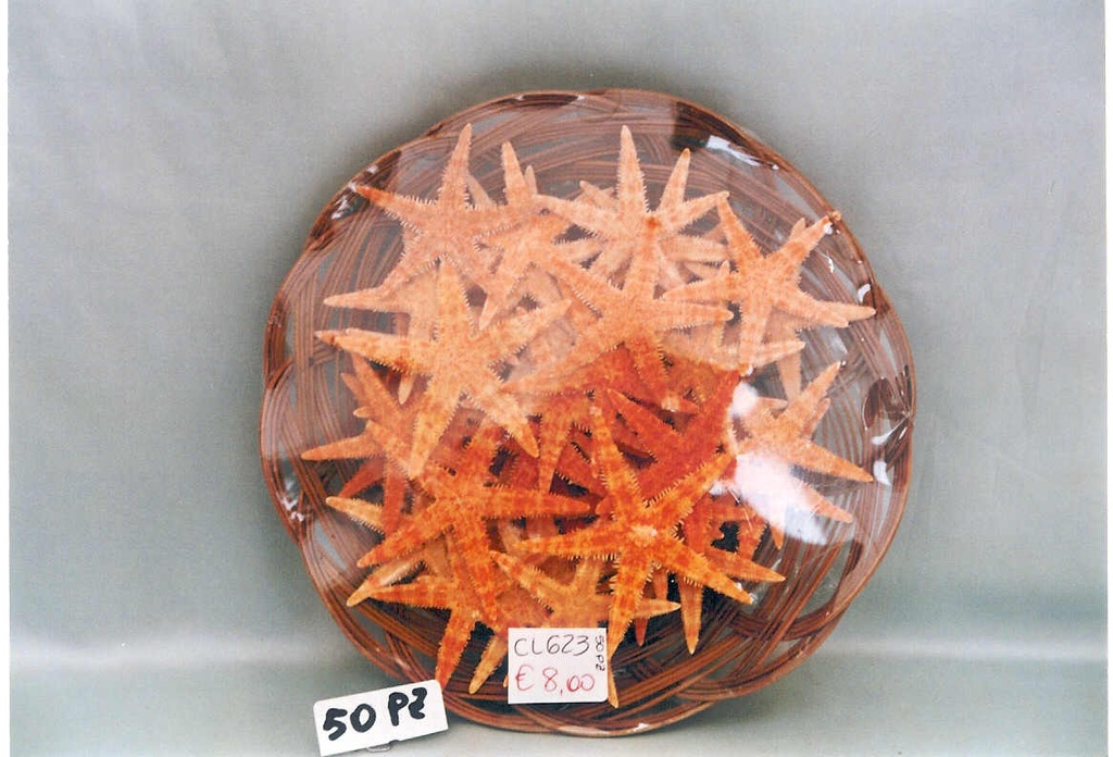 KOŠARA SA ZVIJEZDAMA (50 KOM) 2,5"  DIAM CM 5 