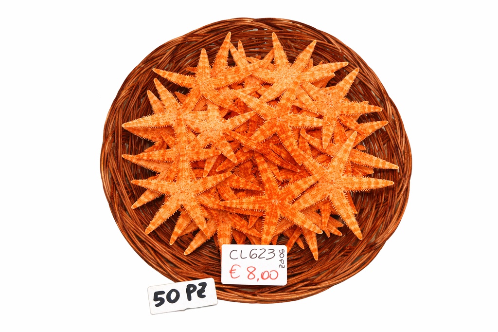KOŠARA SA ZVIJEZDAMA (50 KOM) 2,5"  DIAM CM 5 