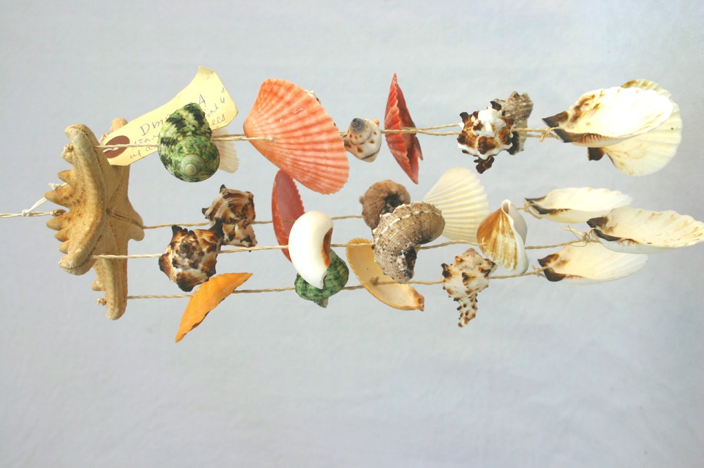 ZVECKALICA SA ŠKOLJKAMA CM 32 