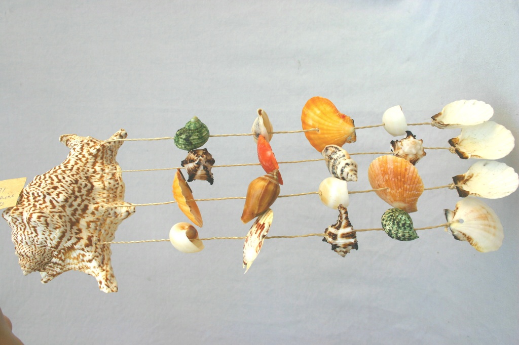 ZVECKALICA SA ŠKOLJKAMA 