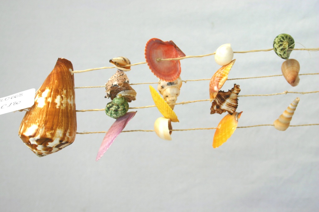 ZVECKALICA SA ŠKOLJKAMA  CM 35 