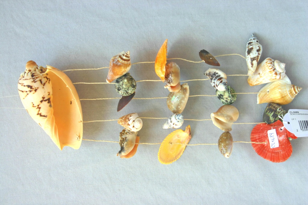 ZVECKALICA SA ŠKOLJKAMA  CM 30 