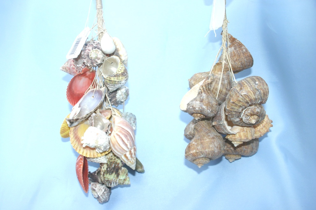 GROZD OD ŠKOLJKI CM 30 