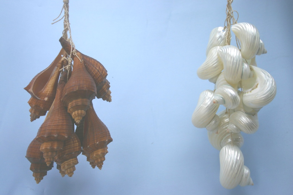 GROZD OD ŠKOLJKI  CM 30 