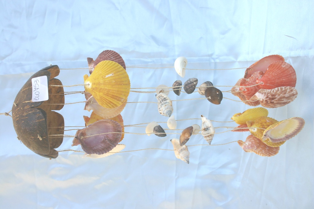 SCACCIAPENSIERI COCCO c/CONCHIGLIE H 27 cm 