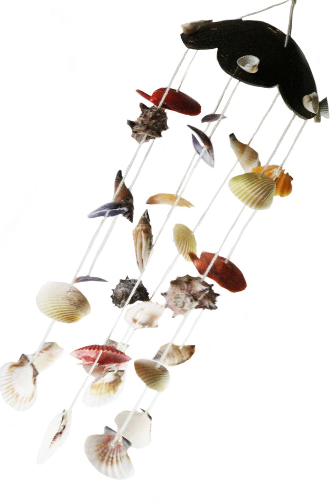 ZVECKALICA SA ŠKOLJKAMA CM 42 