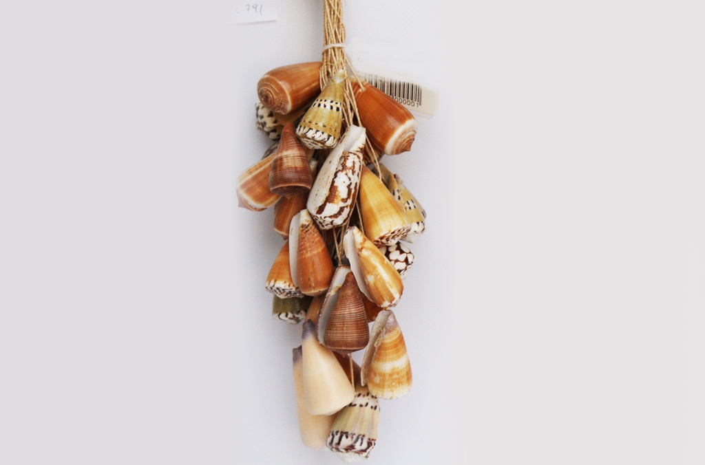 GROZD OD ŠKOLJKI CM 26 