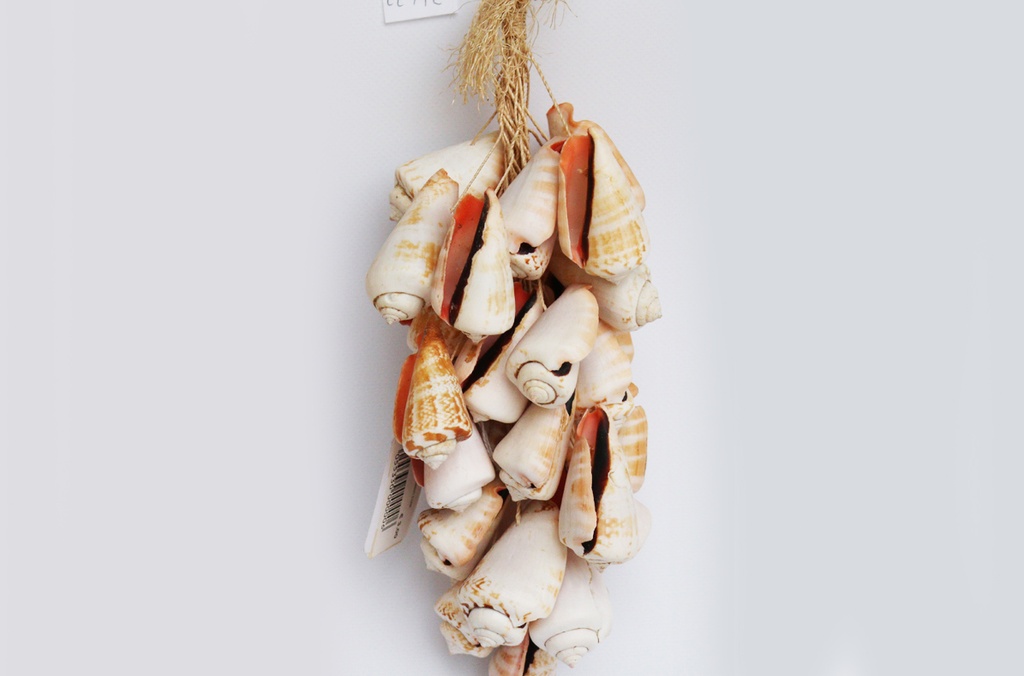 GROZD OD ŠKOLJKI CM 32