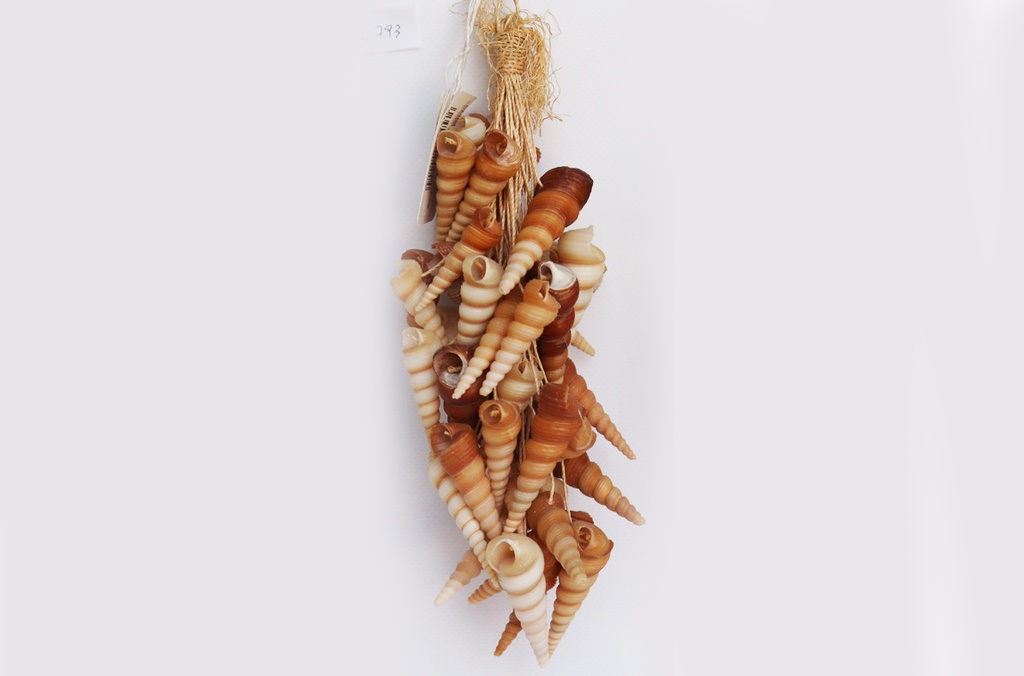 GROZD OD ŠKOLJKI  cm 28 