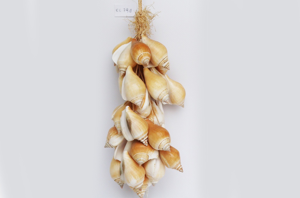 GROZD OD ŠKOLJKI  cm 28 